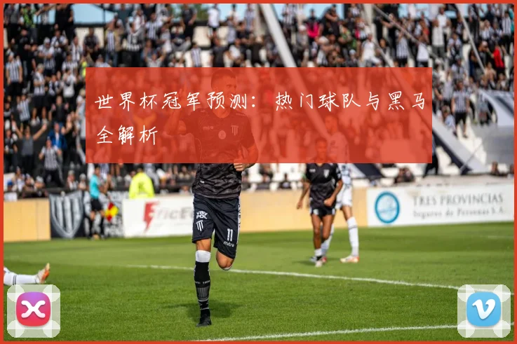 世界杯冠军预测:热门球队与黑马全解析
