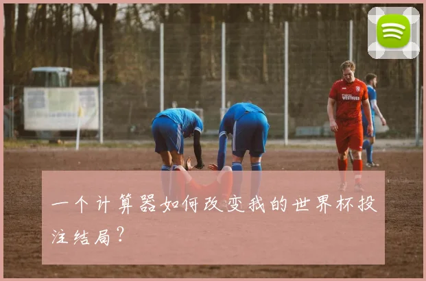 一个计算器如何改变我的世界杯投注结局？
