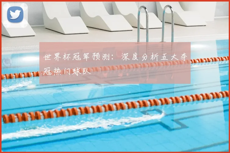 世界杯冠军预测:深度分析五大夺冠热门球队