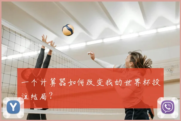 一个计算器如何改变我的世界杯投注结局？