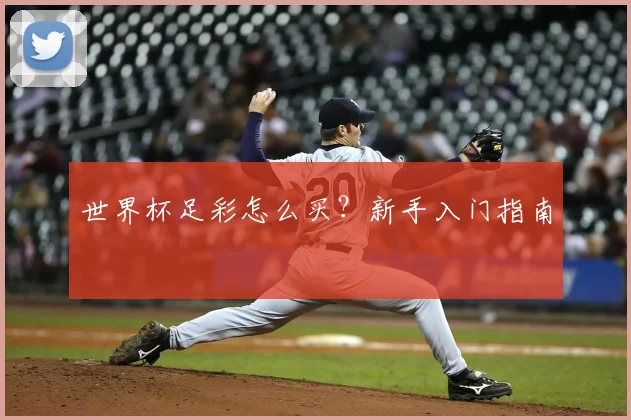 世界杯足彩怎么买?新手入门指南