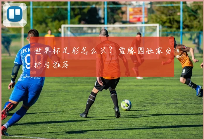 世界杯足彩怎么买？雪缘园独家分析与推荐