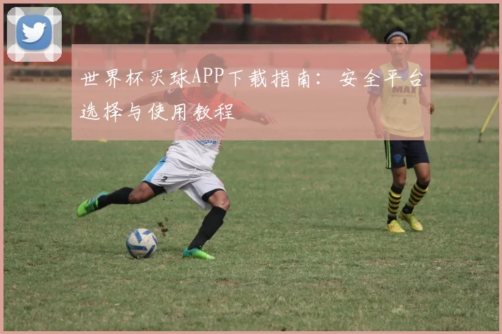 世界杯买球APP下载指南:安全平台选择与使用教程