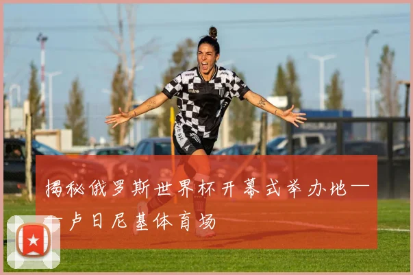 揭秘俄罗斯世界杯开幕式举办地——卢日尼基体育场