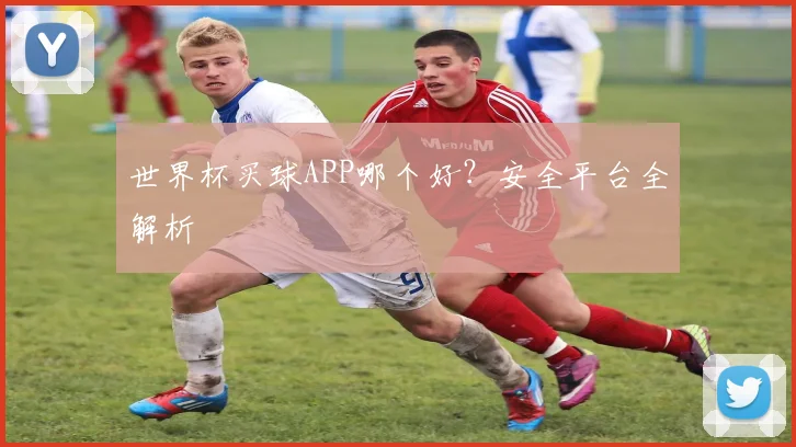 世界杯买球APP哪个好?安全平台全解析