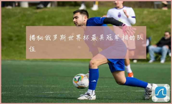 揭秘俄罗斯世界杯最具冠军相的队伍