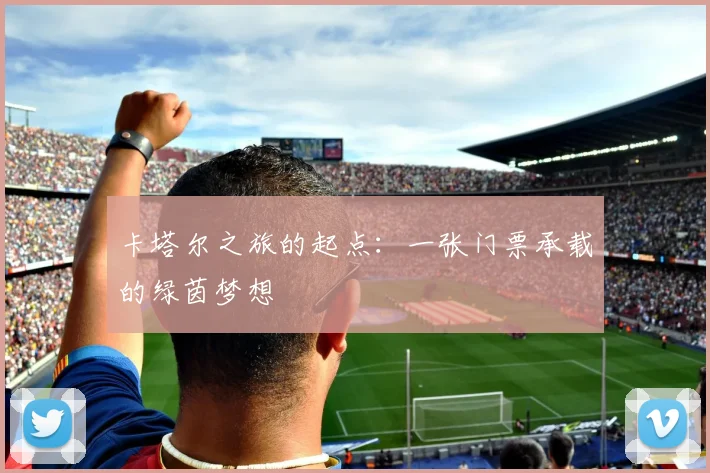 卡塔尔之旅的起点：一张门票承载的绿茵梦想